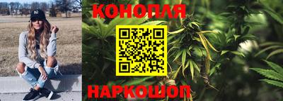 спиды Гагарин