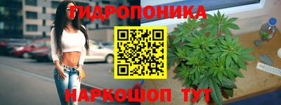 прущие крисы Волжский