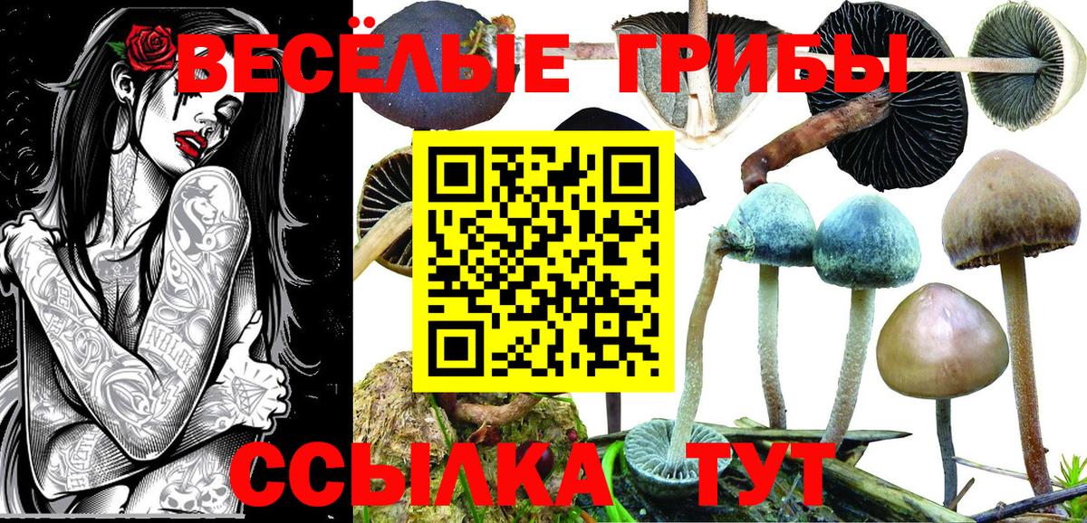Галлюциногенные грибы прущие грибы Заводоуковск