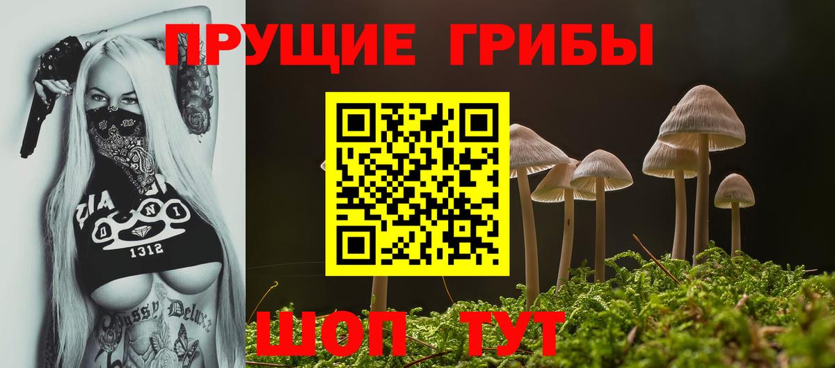 Заводоуковск  Псилоцибиновые грибы MAGIC MUSHROOMS  Вход с VPN  Галлюциногенные грибы мухоморы 